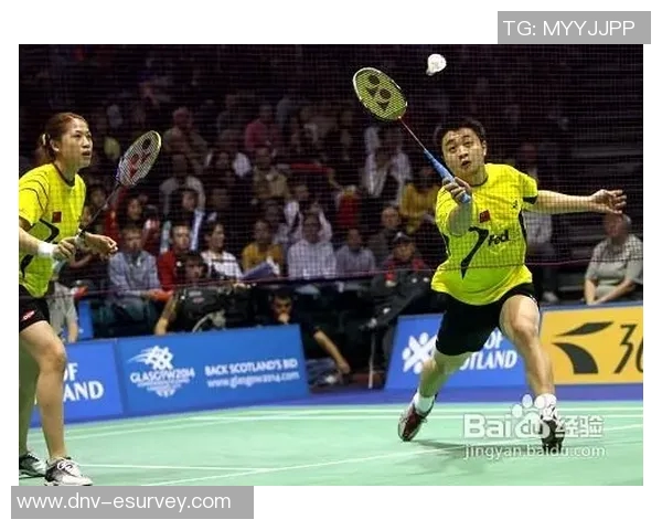 杭州羽毛球队区域防守战术解析与实战应用探讨