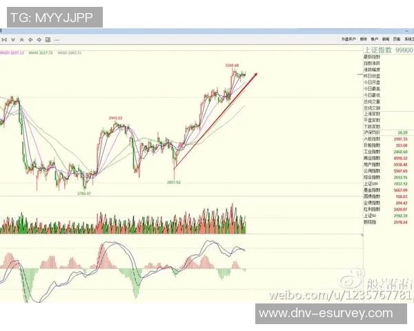 重庆乒乓球队防守策略解析与战术创新探讨