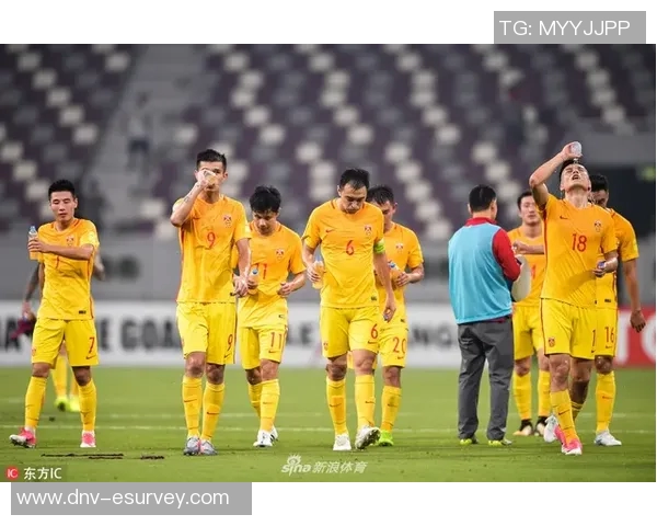 世界杯冠军荣耀背后：球员奋斗与国家荣耀的完美交融