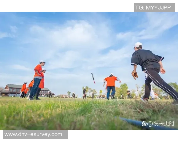 以运动员精神为核心：坚持拼搏与团队协作共铸辉煌人生