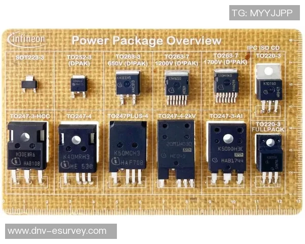 智能印刷包装技术创新与可持续发展趋势分析