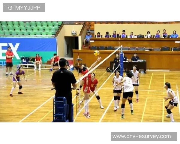 南京排球队的速度之美：探秘排球运动的魅力与激情