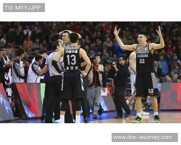 深圳篮球队实力对比深度解析与未来发展趋势展望