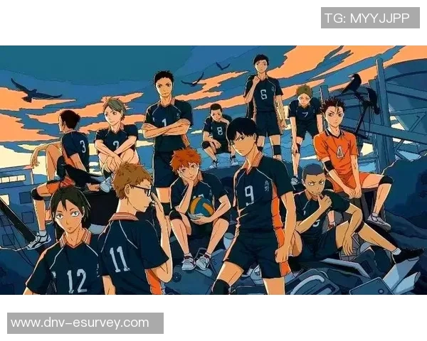 深圳排球队的崛起与发展探索展现排球运动的无限魅力与团队精神