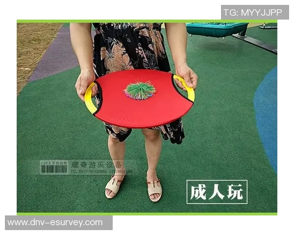 飞盘战术揭秘：深入探讨上海飞盘队的防守与反击策略