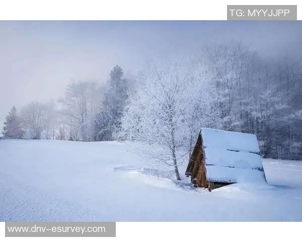冬日雪景中的足球明星精彩瞬间壁纸欣赏与分享